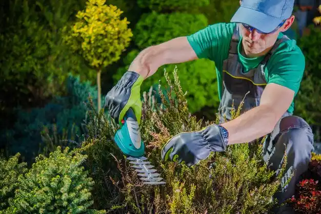 landscaping services North Massapequa